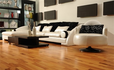 萊茵陽光地板加盟 裝修行業(yè)的優(yōu)質(zhì)投資選擇