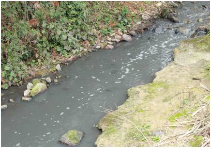 新規(guī)落地 養(yǎng)殖糞污排放標(biāo)準(zhǔn)與農(nóng)田灌溉水質(zhì)掛鉤，水污染治理邁出關(guān)鍵一步