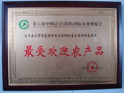 服務(wù)一條龍，無憂一整年 農(nóng)業(yè)生產(chǎn)全程擁抱“專業(yè)化”運(yùn)營商機(jī)